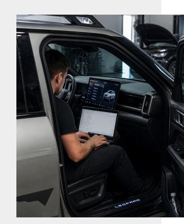 Русификация BYD Leopard 3 в Надыме по цене от 20652 р. | ФастМобиль-Ндм